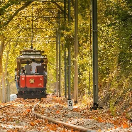 Meraki * Azenhas do Mar